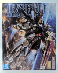 BANDAI SPIRITS MG 1/100 バンダイナムコ版 エールストライクガンダムVer.RM/15+表記