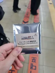 進撃の巨人 ハンジ アクリル スタンド 出品