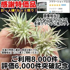 2026年最新】失敗しないテディベア作りの人気アイテム - メルカリ