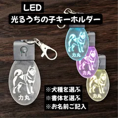 光るうちの子キーホルダー　　　LED　DOGキーホルダー　愛犬の名入れします　夜の散歩に目立ちます　ペット用品 2