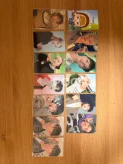 Seventeen ホシ セブチ 胴上げ(Heng:garae) DUL Ver.