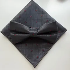 ①-3  蝶ネクタイ　ポケットチーフ2点セット