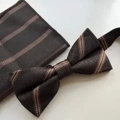 ①-5  蝶ネクタイ　ポケットチーフ2点セット