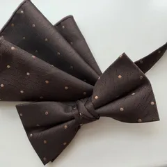 ②-4  蝶ネクタイ　ポケットチーフ2点セット