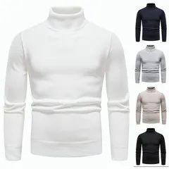 セーター ニット メンズ タートルネック ハイネック ニットソー メンズニット メンズセーター 柔らかい トップス きれいめ 冬 冬服 秋 暖かい あったか 30代 40代 50代 通勤swg95