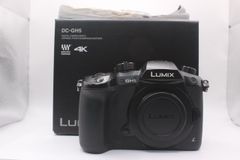 ★良品★パナソニック PANASONIC LUMIX DC-GH5  #0556@e RO3474