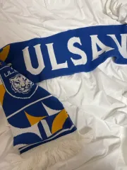 2025年最新】蔚山現代の人気アイテム - メルカリ