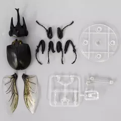 【中古】トレーディングフィギュア アクティオンゾウカブト 「いきもの大図鑑アドバンス ゾウカブトとヘラクレスオオカブト ディスプレイスタンドセット」 ガシャポンオンライン限定のサムネイル