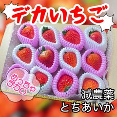 朝採れ減農薬いちご とちあいか 3箱 - メルカリ