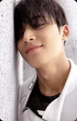 【中古】コレクションカード(男性) SEVENTEEN/MINGYU(ミンギュ)/裏面グレー/CD「Face the Sun」(ep.2 Shadow)封入特典フォトカード