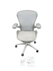 【希少】ハーマンミラー アーロンチェア クラシック チタニウム フル装備 Bサイズ