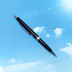 PILOT パイロット トカゲ革巻万年筆 18K F 純正コンバーター・紙箱付 PILOT パイロット トカゲ革巻万年筆 18K F 純正コンバーター・紙箱付