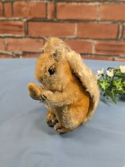 やまね工房 アマミノクロウサギ ぴょん太 ぬいぐるみ ウサギ - メルカリ
