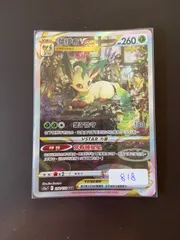 2025年最新】リーフィアvstarの人気アイテム - メルカリ