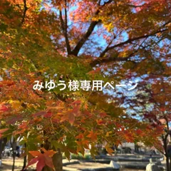 みゆう様専用ページ