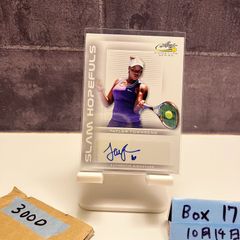 Item thumbnail for item 2255721f-bb0f-4e70-9aa9-2b17d22ccf3c