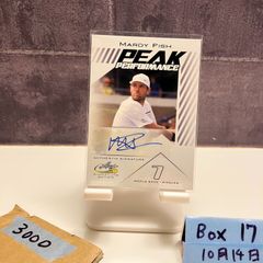 Item thumbnail for item 373d36dc-09b5-4380-adc1-97b8eb8c3893