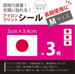 2枚❣️】WBC メキシコ代表 アイロン ワッペン - メルカリ