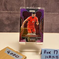 Diego Maradona Futera Platinum カード - メルカリ