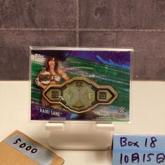 Item thumbnail for item b3c37982-501e-4cc7-a2d9-510989731c74