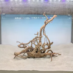 2026年最新】ホーンウッド adaの人気アイテム - メルカリ