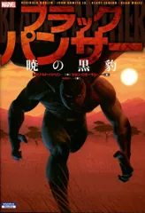 小学館集英社プロダクション ジョン・ロミータJr ◎ブラックパンサー(帯欠)