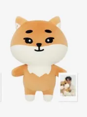 DAY6(デイシックス) デニマルズ(DENIMALZ) ジャイアント ケ