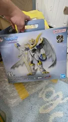 COOGI b級 황제드라몬 팔라딘ウール 出品