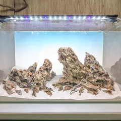 2025年最新】龍王石の人気アイテム - メルカリ