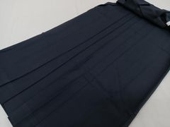 Item thumbnail for item 2d9684d2-6a94-42ba-a5de-c337a41cf8e7