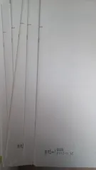 時代人材 バーバリーブリット (17個)