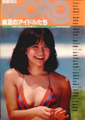 河村ひとみ他 激写 別冊BIG GORO