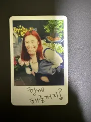 2025年最新】WHEEIN lpの人気アイテム - メルカリ