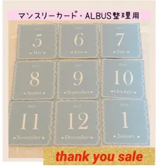 27.2608【即日発送】♡大人気♡マンスリーカード　月齢カード　アルバス整理用　くすみ水色