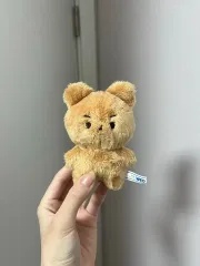 THE BOYZ(ザ・ボーイズ・ドボイズ) ヒョンジェ 10cm ぬいぐるみ ヒョンジェ ぬいぐるみ