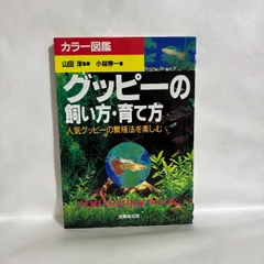 グッピーの飼い方・育て方