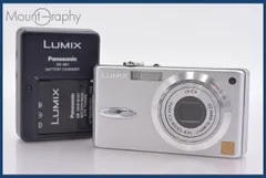 2026年最新】dmc-fx2の人気アイテム - メルカリ