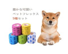 Item thumbnail for item 55e8a8b5-e3fe-4065-b1c6-d5abc77506d1