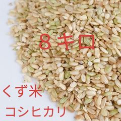 令和7年産 コシヒカリくず米 8kg 鳥のエサ - メルカリ