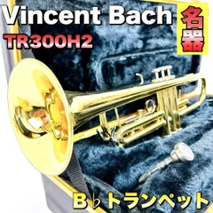 2025年最新】Bach TR300の人気アイテム - メルカリ