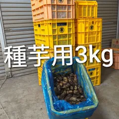 2026年最新】大和芋 多古の人気アイテム - メルカリ