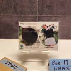 非売品 AKB48 飛翔入手 プライングゲット カスペルスキー 峯岸みなみ