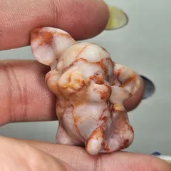 レッドネットワークジャスパー✨ブタ✨