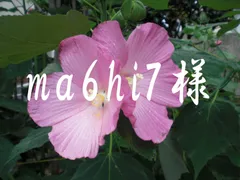 ma6hi7様 専用ページ★速達便