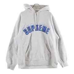 SUPREME (シュプリーム) 20AW Icy Arc Hooded Sweatshirt アイシー アーチロゴ刺繍 プルオーバースウェットパーカー フーディー グレー