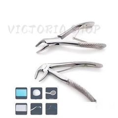 Item thumbnail for item d3d1dd58-292e-4f2d-bb9f-7026ff92f91b