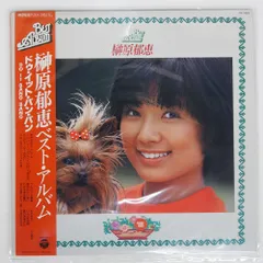 【貴重】榊原郁恵　パンフレット　グッズ　ブロマイド 榊原郁恵ブロマイド 16枚（アルバム付） / 伊東古本店 / 古本、中古本