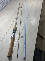 2026年最新】プロキャスターX ダイワの人気アイテム - メルカリ