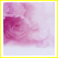 Item thumbnail for item f5a583db-febc-47b5-89cb-2267a1e4e353