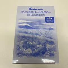 ポケモン　アクリルキーホルダーコレクション　Invisible to Me　BOX